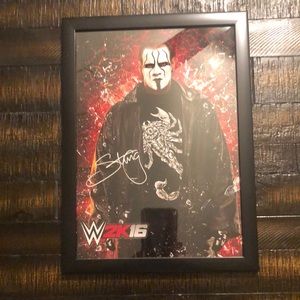 WWE Sting Picture
